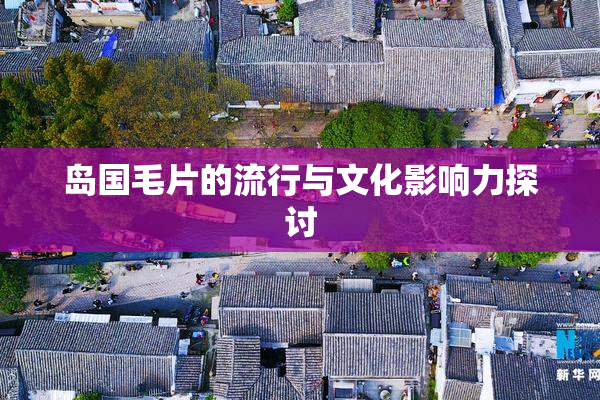 岛国毛片的流行与文化影响力探讨