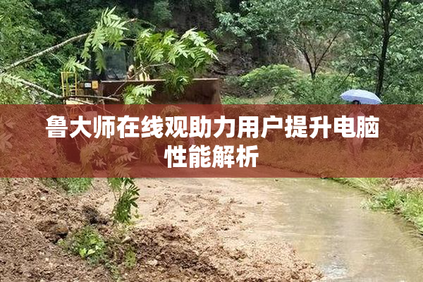 鲁大师在线观助力用户提升电脑性能解析