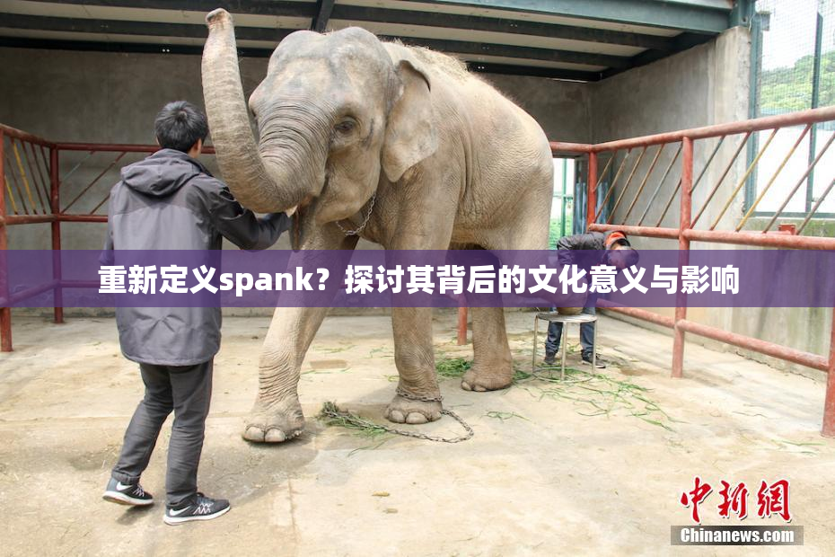 重新定义spank？探讨其背后的文化意义与影响