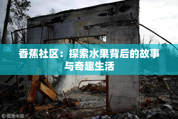 香蕉社区：探索水果背后的故事与奇趣生活
