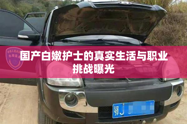 国产白嫩护士的真实生活与职业挑战曝光