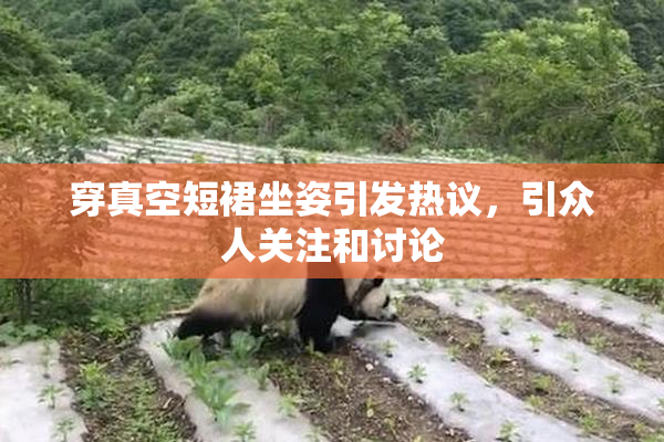 穿真空短裙坐姿引发热议，引众人关注和讨论