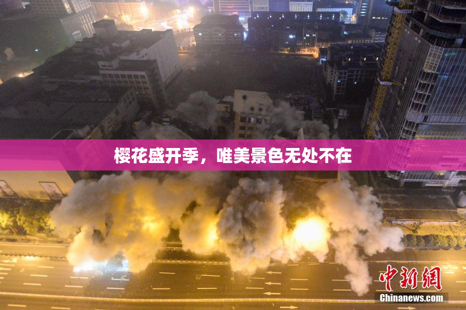 樱花盛开季，唯美景色无处不在