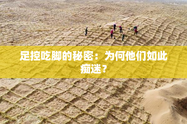足控吃脚的秘密：为何他们如此痴迷？