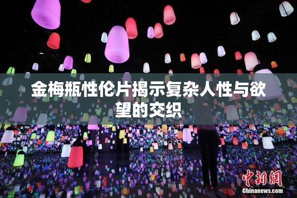 金梅瓶性伦片揭示复杂人性与欲望的交织