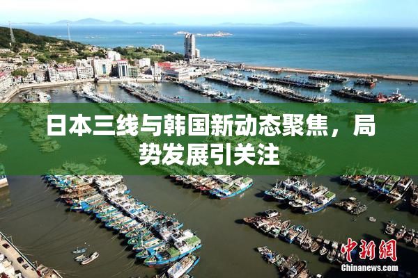 日本三线与韩国新动态聚焦，局势发展引关注