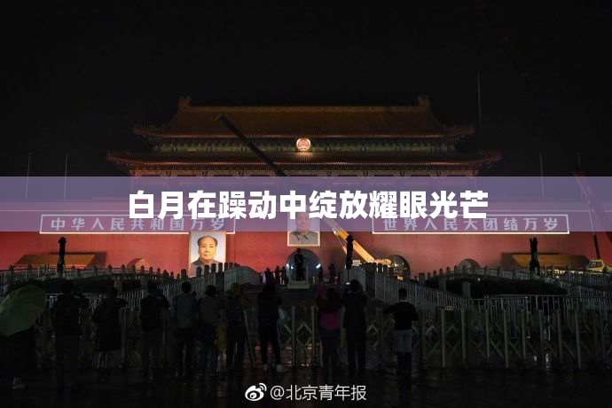 白月在躁动中绽放耀眼光芒