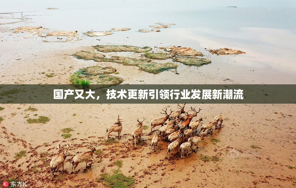国产又大，技术更新引领行业发展新潮流