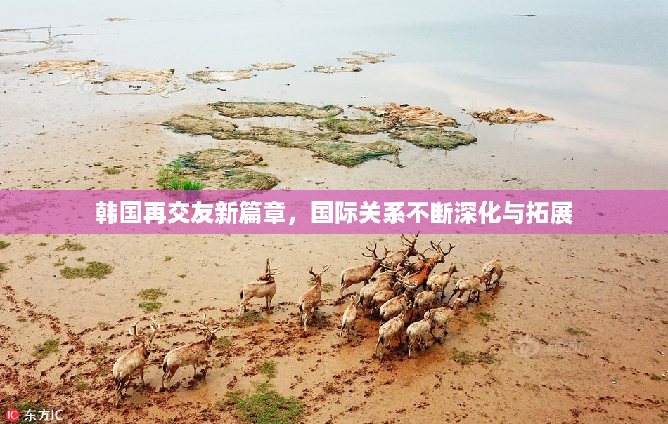 韩国再交友新篇章，国际关系不断深化与拓展