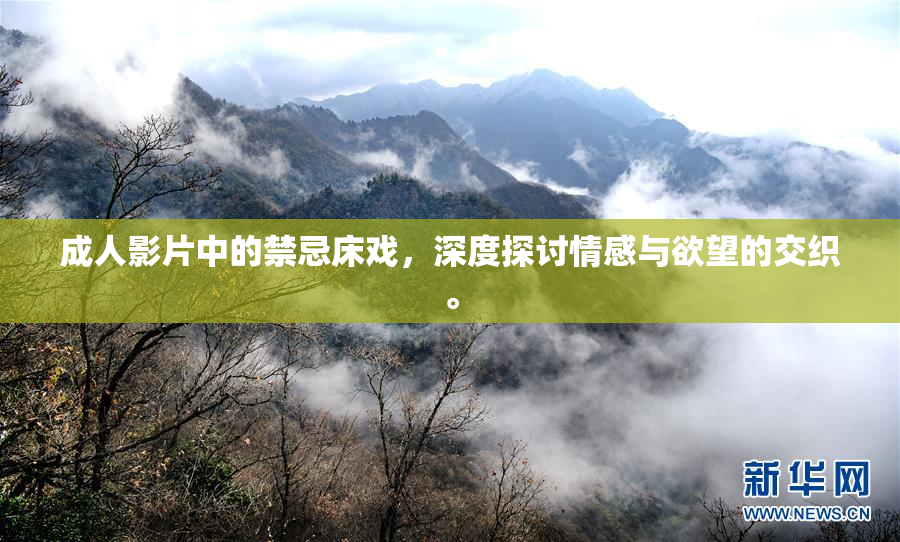 成人影片中的禁忌床戏，深度探讨情感与欲望的交织。
