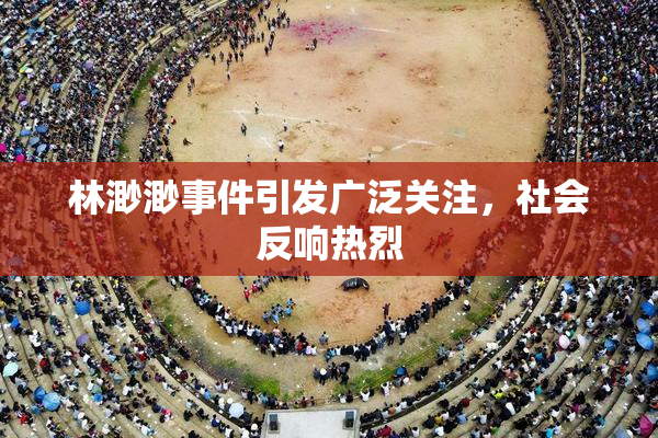 林渺渺事件引发广泛关注，社会反响热烈