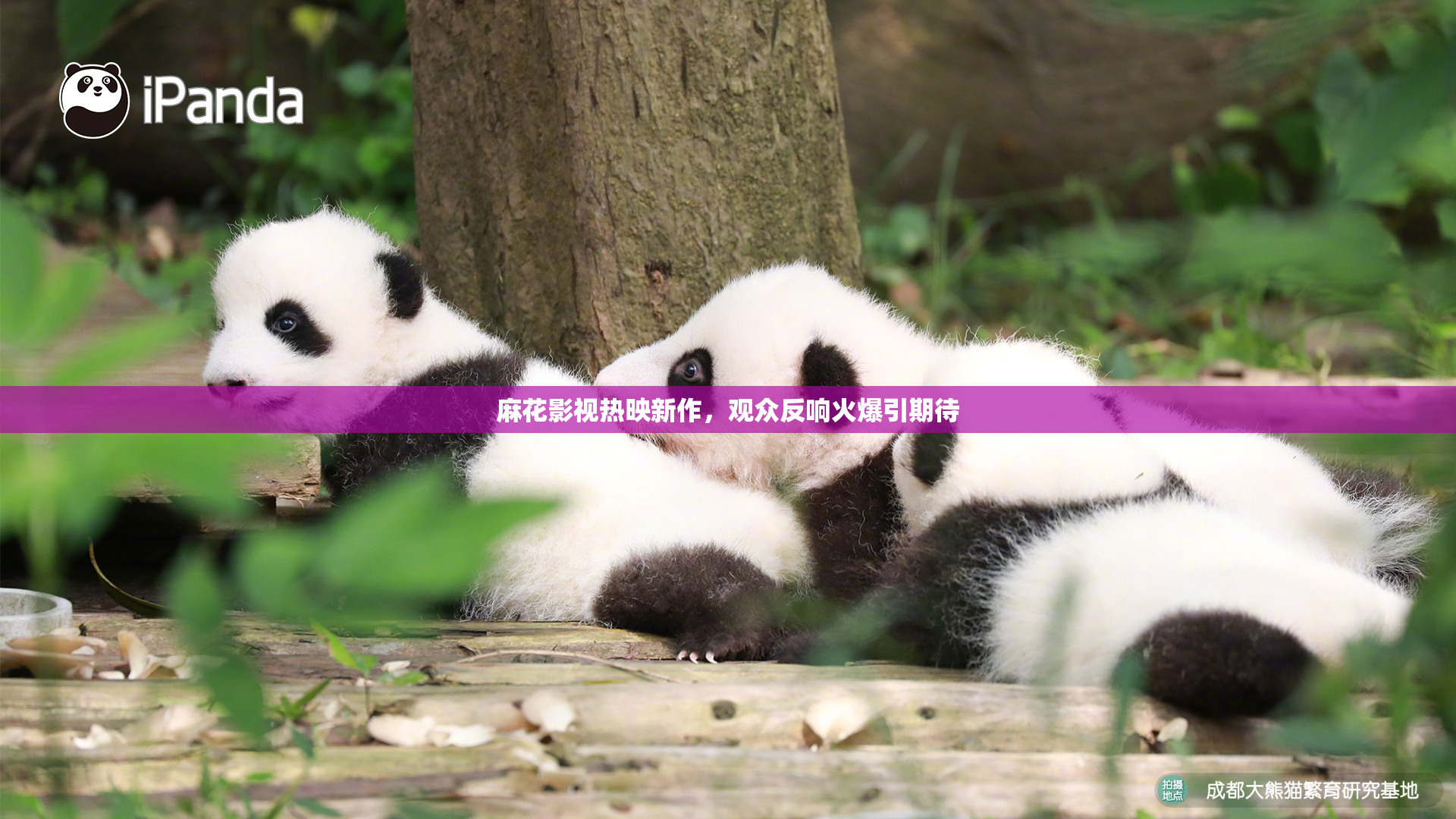 麻花影视热映新作，观众反响火爆引期待