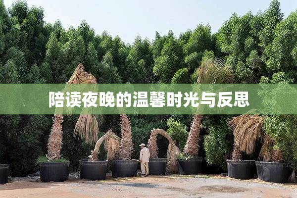 陪读夜晚的温馨时光与反思