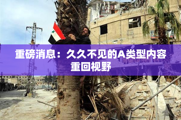 重磅消息：久久不见的A类型内容重回视野
