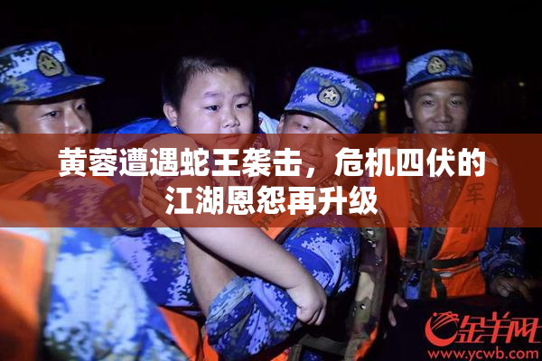 黄蓉遭遇蛇王袭击，危机四伏的江湖恩怨再升级