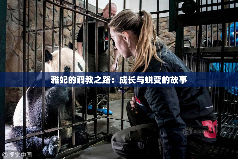 雅妃的调教之路：成长与蜕变的故事