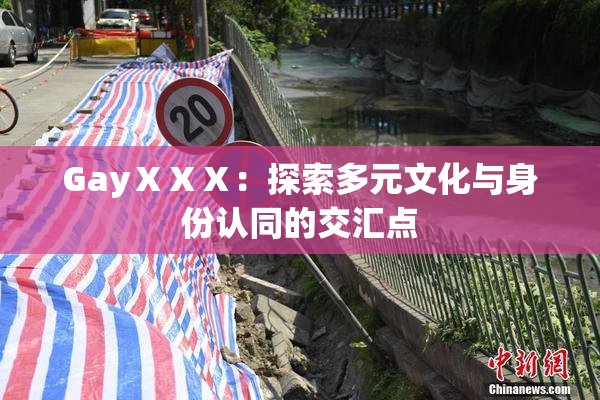 GayⅩⅩⅩ：探索多元文化与身份认同的交汇点