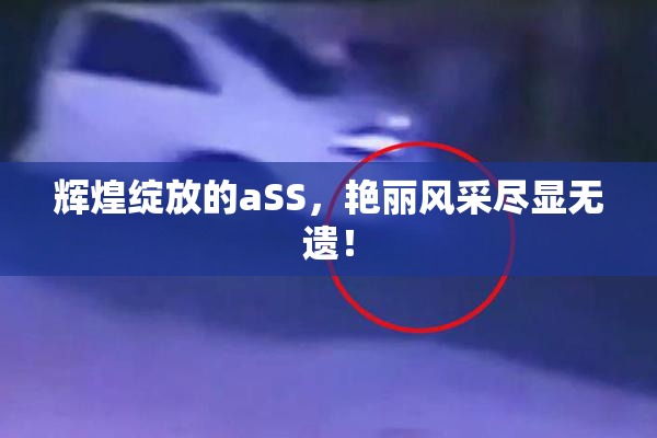 辉煌绽放的aSS，艳丽风采尽显无遗！