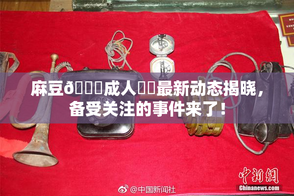 麻豆🔞成人❌‌最新动态揭晓，备受关注的事件来了！