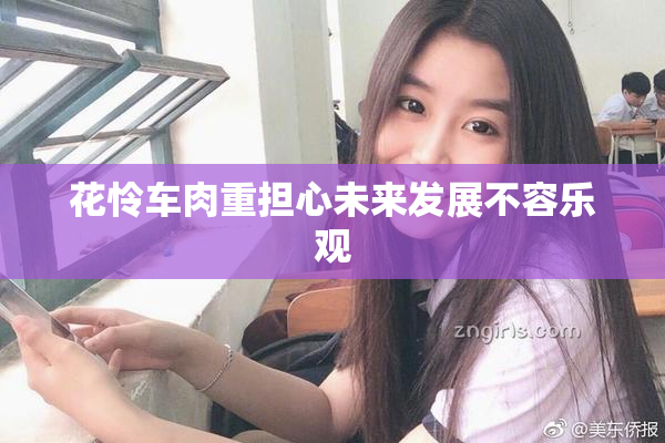 花怜车肉重担心未来发展不容乐观