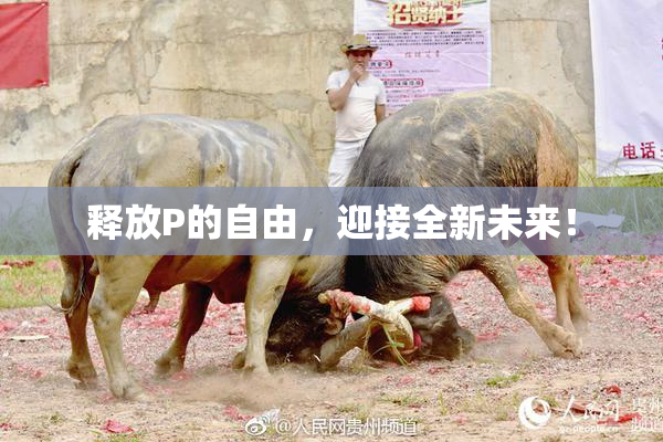 释放P的自由，迎接全新未来！