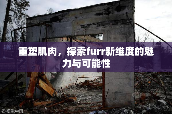 重塑肌肉，探索furr新维度的魅力与可能性
