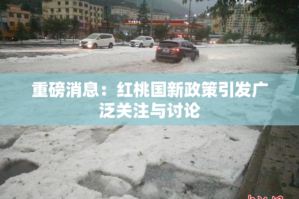 重磅消息：红桃国新政策引发广泛关注与讨论