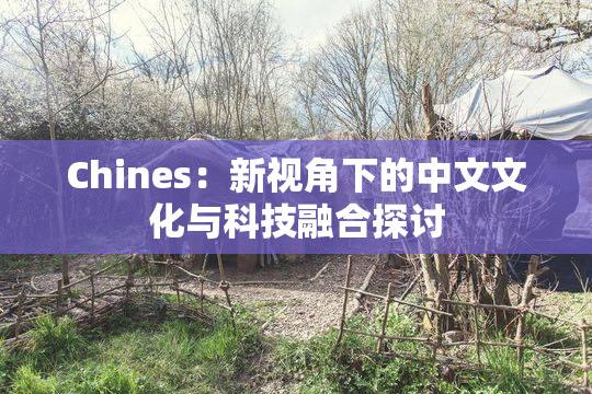 Chines：新视角下的中文文化与科技融合探讨