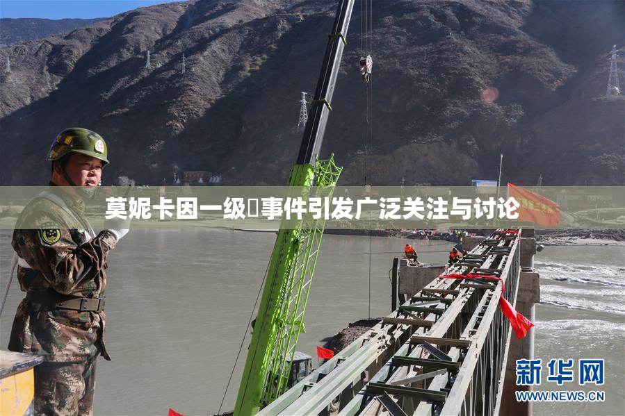 莫妮卡因一级婬事件引发广泛关注与讨论