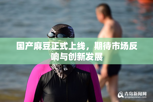 国产麻豆正式上线，期待市场反响与创新发展