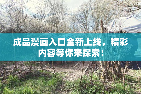 成品漫画入口全新上线，精彩内容等你来探索！