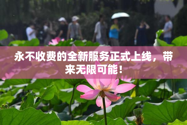 永不收费的全新服务正式上线，带来无限可能！