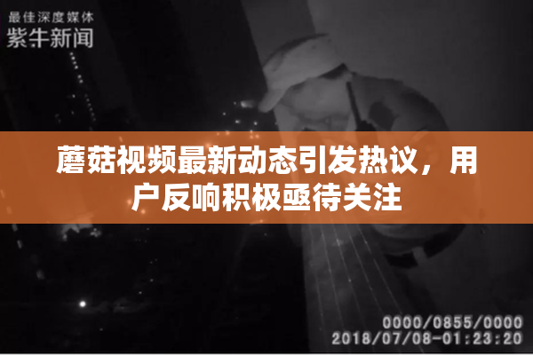 蘑菇视频最新动态引发热议，用户反响积极亟待关注
