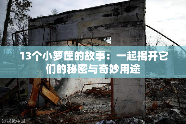 13个小箩筐的故事：一起揭开它们的秘密与奇妙用途