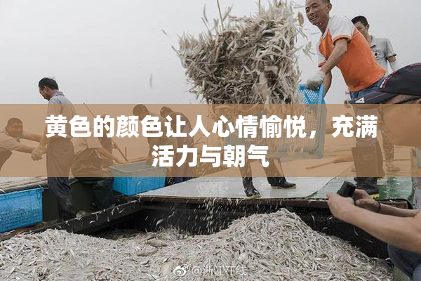 黄色的颜色让人心情愉悦，充满活力与朝气