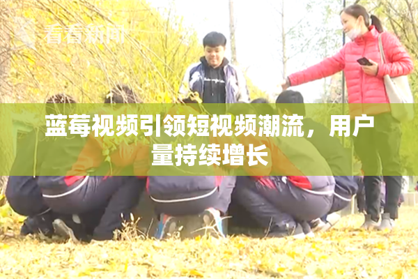 蓝莓视频引领短视频潮流，用户量持续增长