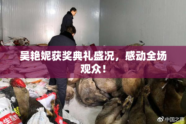 吴艳妮获奖典礼盛况，感动全场观众！