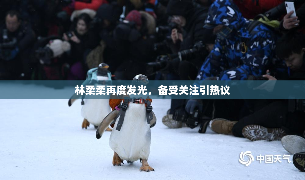 林柔柔再度发光，备受关注引热议