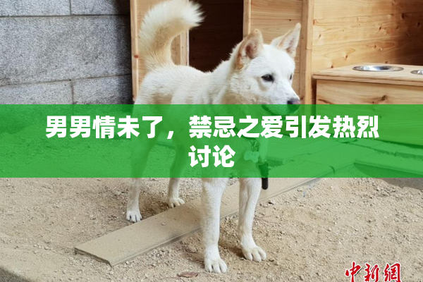男男情未了，禁忌之爱引发热烈讨论