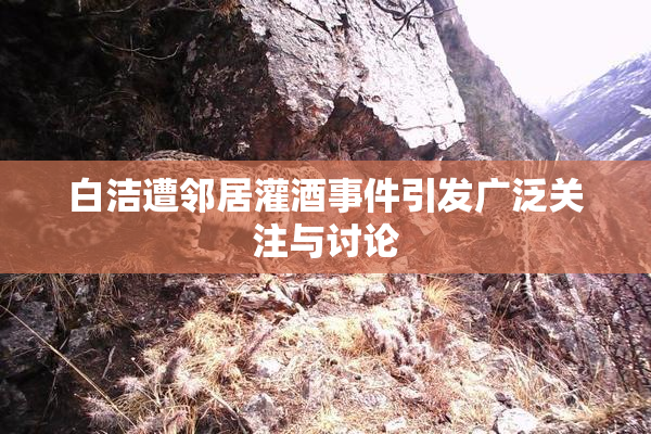 白洁遭邻居灌酒事件引发广泛关注与讨论