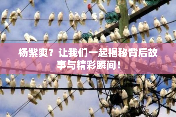 杨紫爽？让我们一起揭秘背后故事与精彩瞬间！