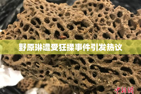 野原琳遭受狂揉事件引发热议