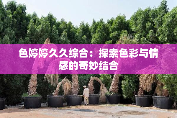 色婷婷久久综合：探索色彩与情感的奇妙结合