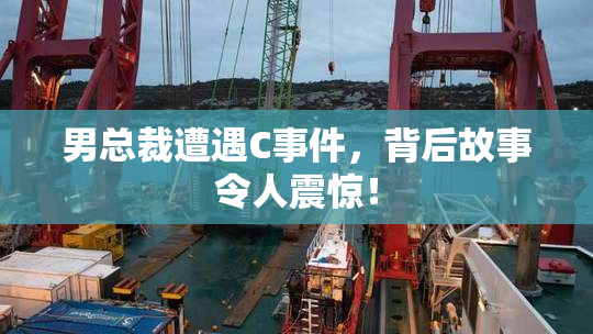 男总裁遭遇C事件，背后故事令人震惊！