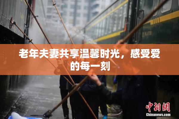 老年夫妻共享温馨时光，感受爱的每一刻