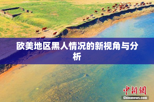 欧美地区黑人情况的新视角与分析