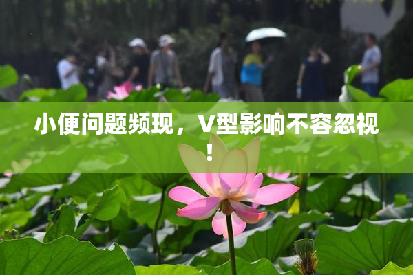 小便问题频现，V型影响不容忽视！