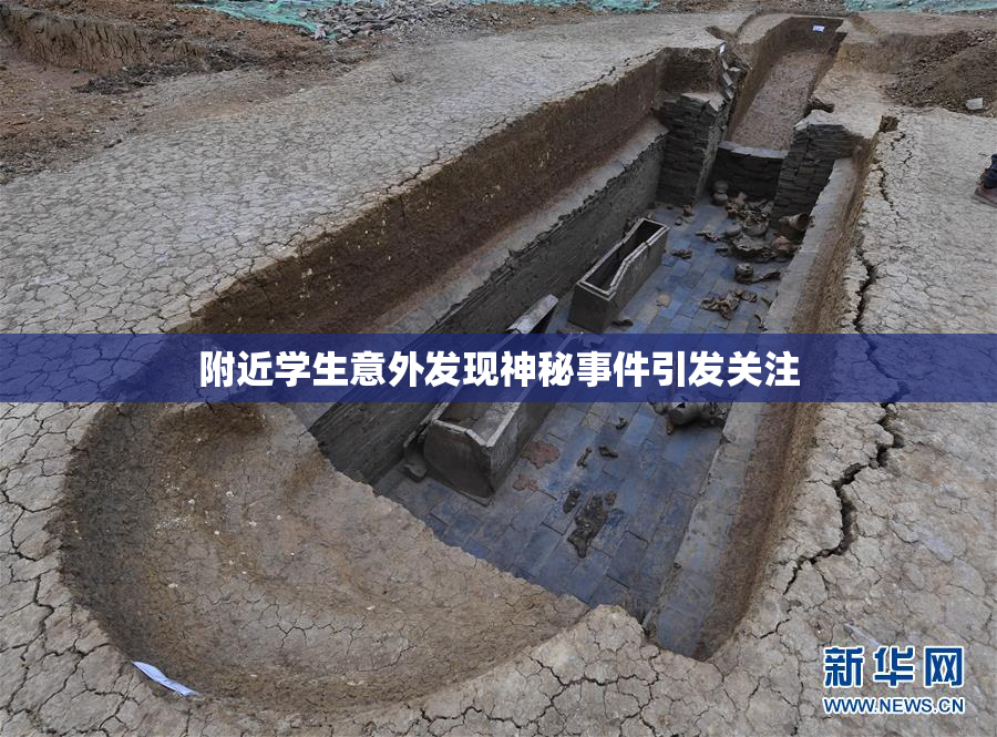 附近学生意外发现神秘事件引发关注