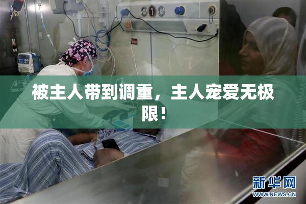 被主人带到调重，主人宠爱无极限！