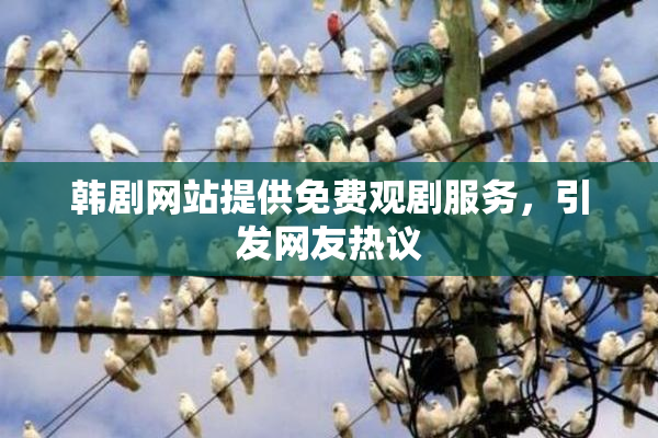 韩剧网站提供免费观剧服务，引发网友热议